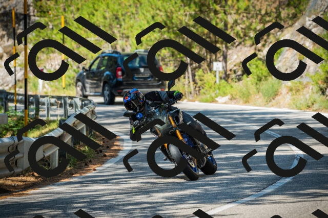 202508091118-DSC03781_c1_