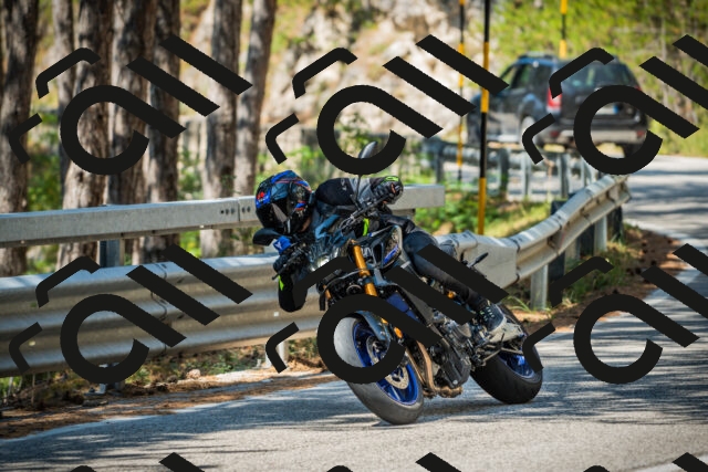 202508091118-DSC03782_c1_