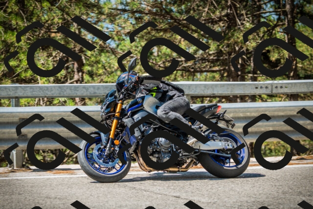 202508091118-DSC03783_c1_