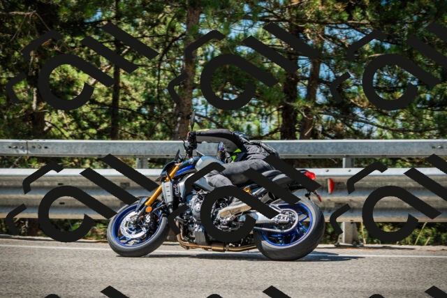 202508091118-DSC03784_c1_