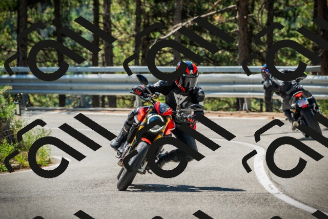 202508091118-DSC03785_c1_