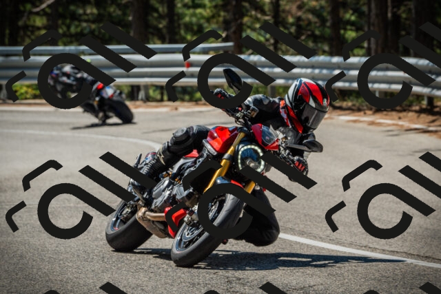 202508091118-DSC03786_c1_