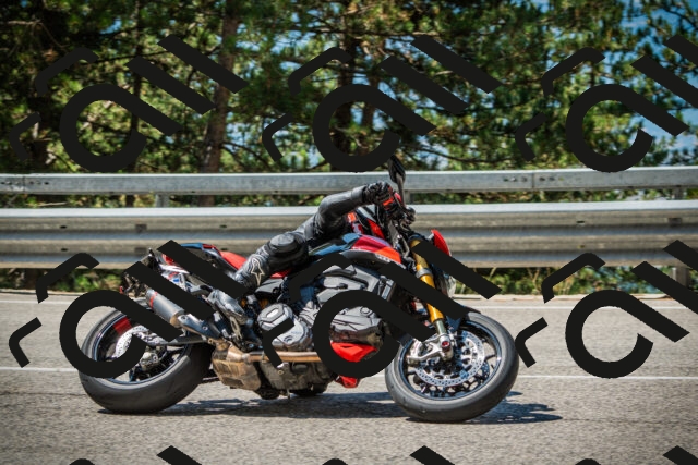 202508091118-DSC03787_c1_