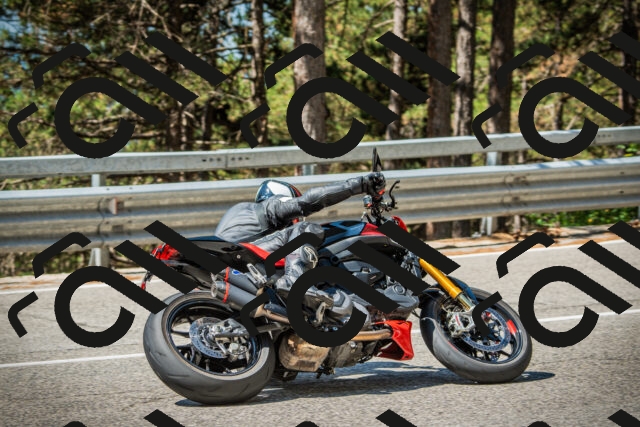 202508091118-DSC03788_c1_