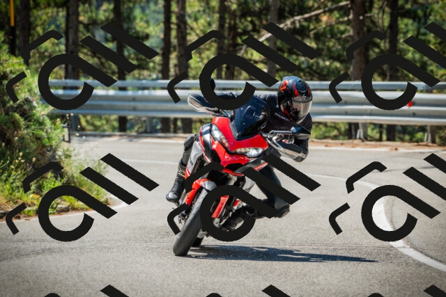 202508091118-DSC03792_c1_