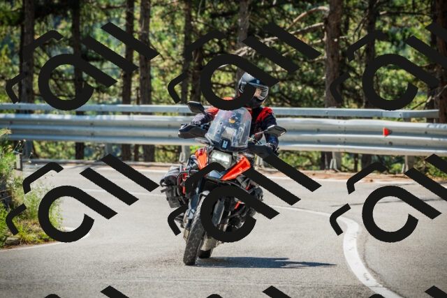 202508091118-DSC03798_c1_