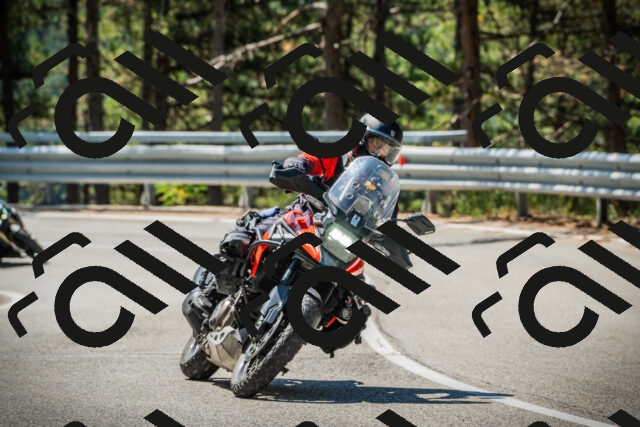 202508091118-DSC03799_c1_