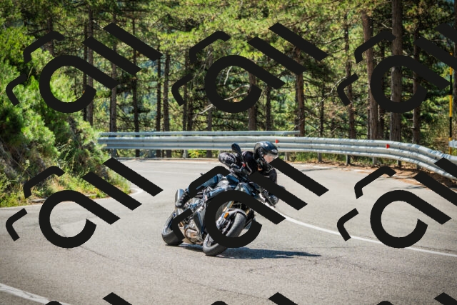 202508091118-DSC03802_c1_