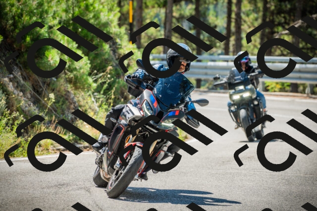 202508091120-DSC03805_c1_