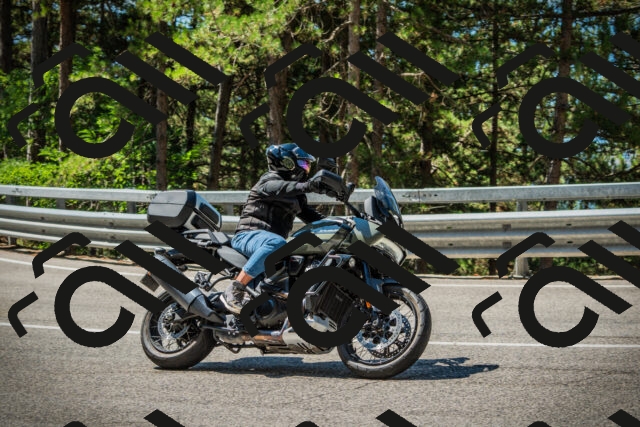 202508091120-DSC03808_c1_