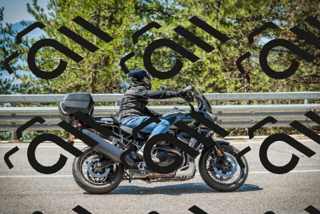 202508091120-DSC03809_c1_