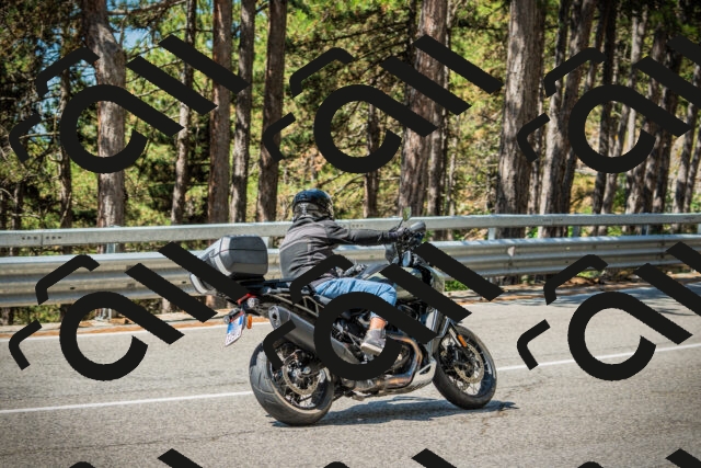 202508091120-DSC03810_c1_