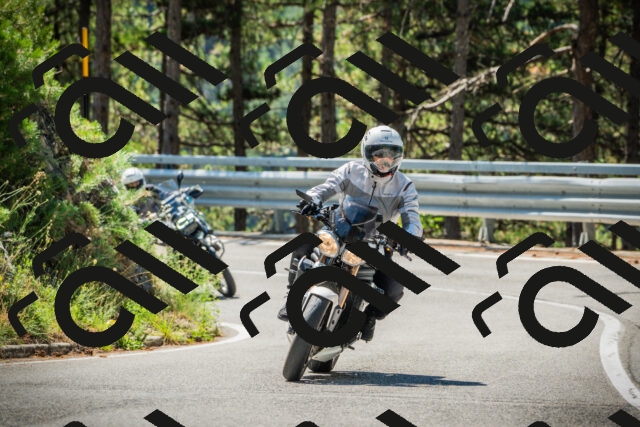 202508091120-DSC03811_c1_