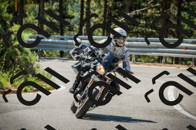 202508091120-DSC03812_c1_