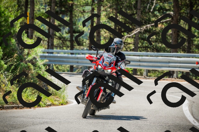 202508091124-DSC03822_c1_