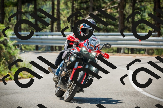 202508091124-DSC03823_c1_