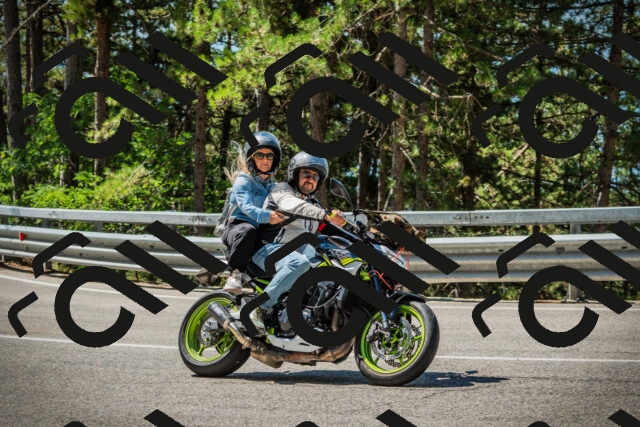 202508091124-DSC03835_c1_