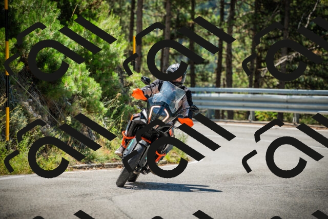 202508091125-DSC03837_c1_