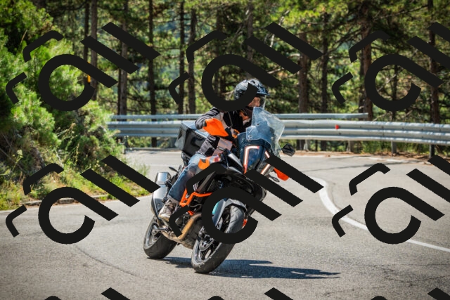 202508091125-DSC03838_c1_