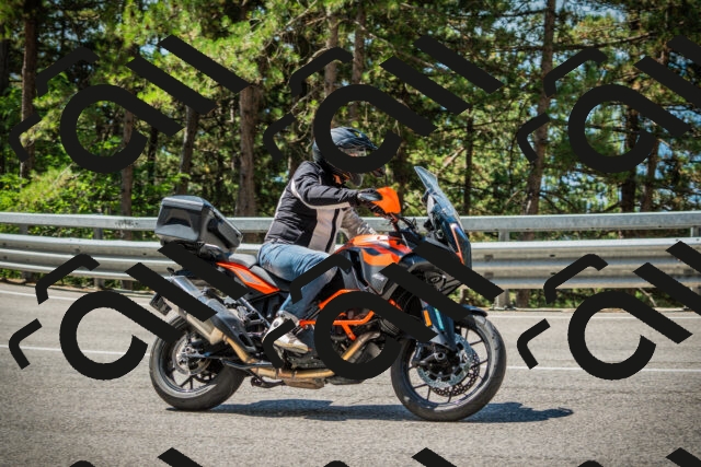 202508091125-DSC03839_c1_