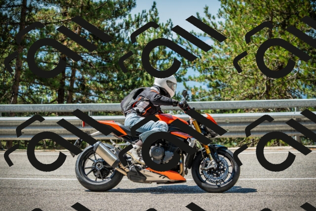 202508091125-DSC03844_c1_