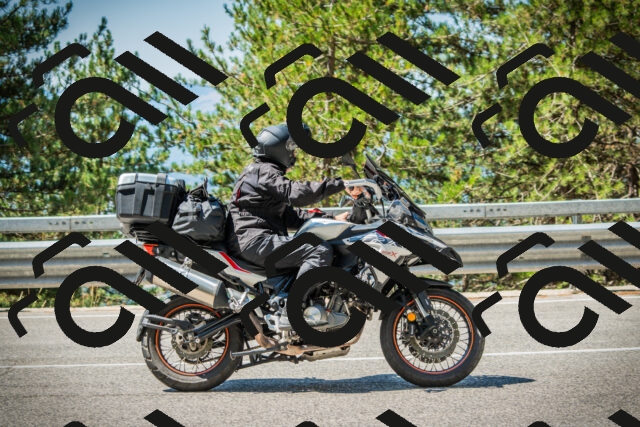 202508091125-DSC03853_c1_