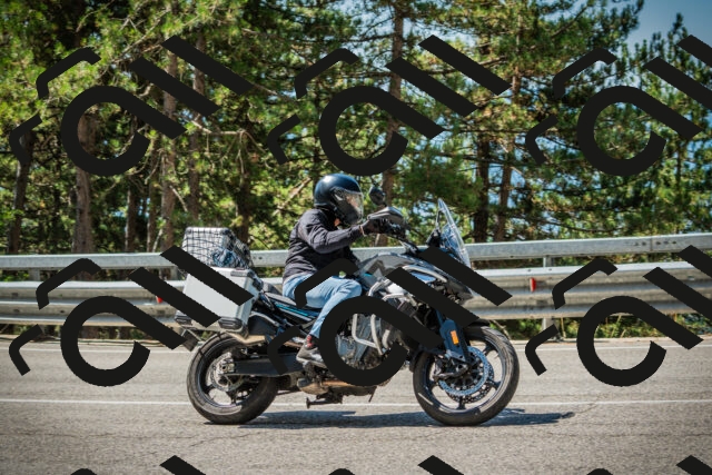 202508091125-DSC03855_c1_