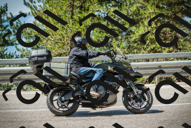 202508091125-DSC03858_c1_