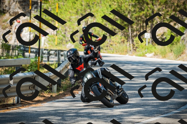 202508091125-DSC03860_c1_