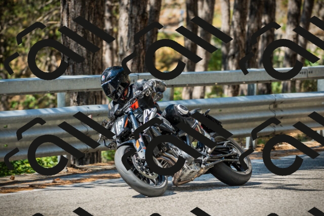 202508091125-DSC03861_c1_