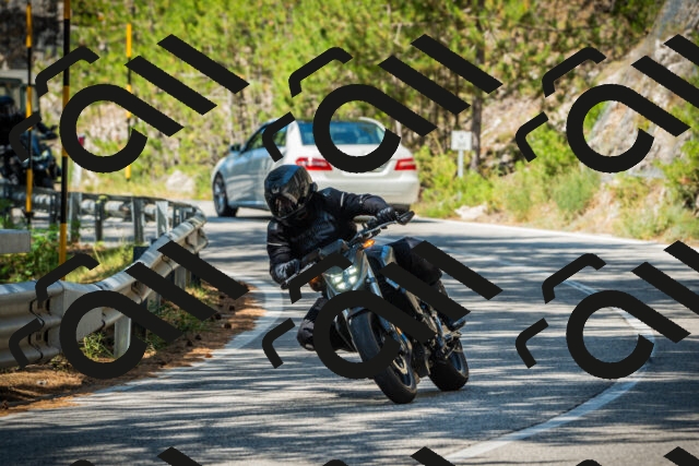 202508091126-DSC03866_c1_