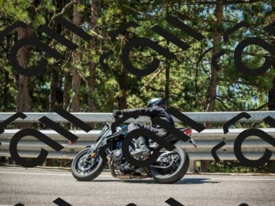 202508091126-DSC03869_c1_