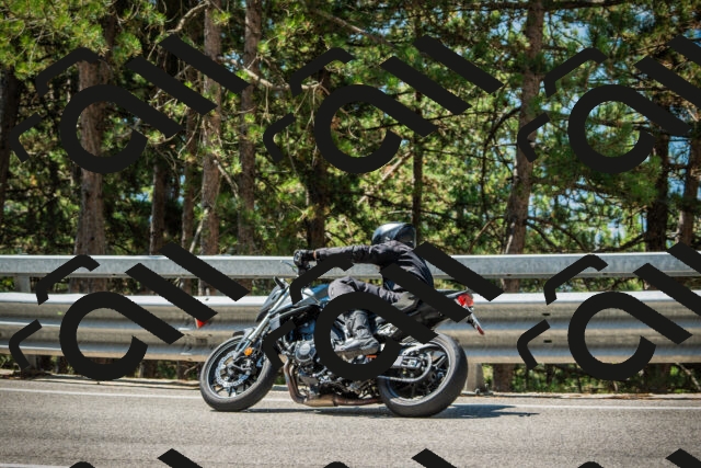 202508091126-DSC03869_c1_