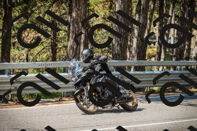 202508091126-DSC03870_c1_