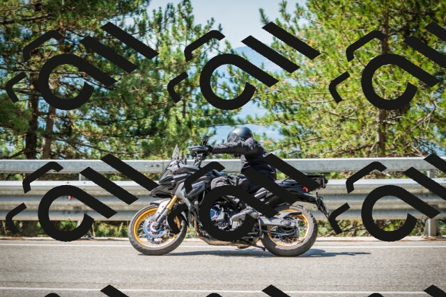 202508091126-DSC03871_c1_