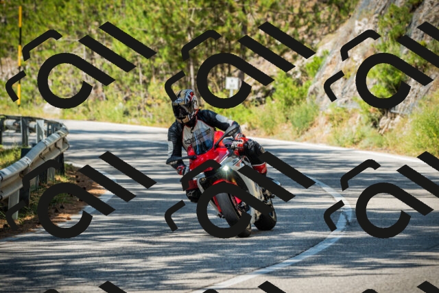 202508091127-DSC03879_c1_