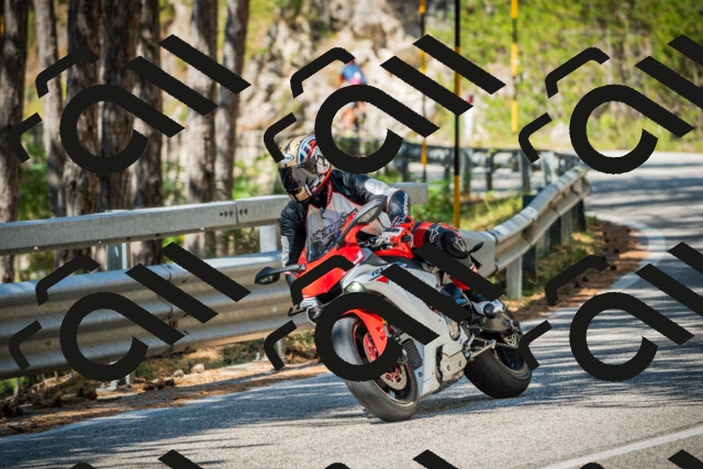 202508091127-DSC03880_c1_