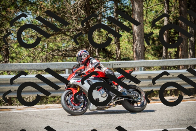 202508091127-DSC03881_c1_