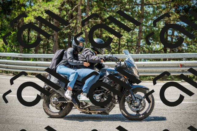 202508091129-DSC03886_c1_