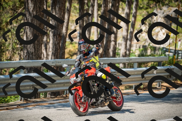 202508091129-DSC03888_c1_