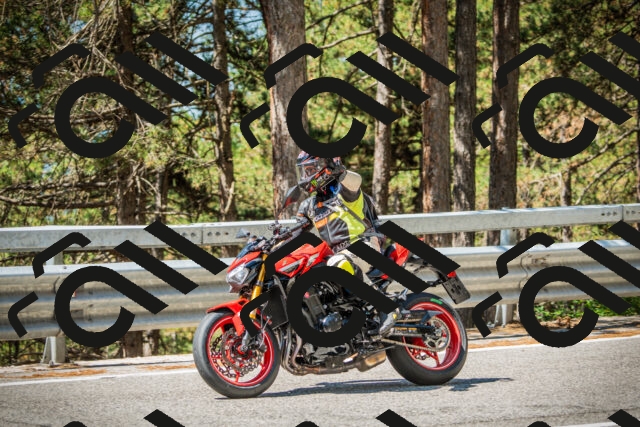 202508091129-DSC03889_c1_