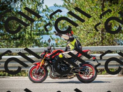 202508091129-DSC03890_c1_