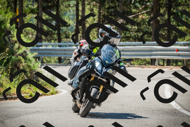 202508091129-DSC03894_c1_