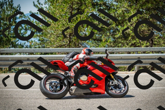 202508091129-DSC03897_c1_