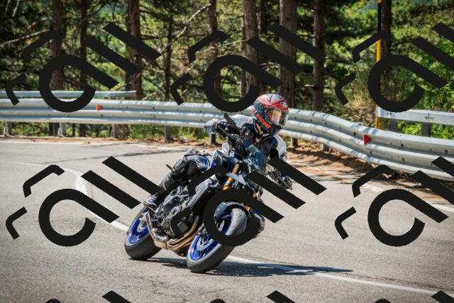 202508091130-DSC03901_c1_