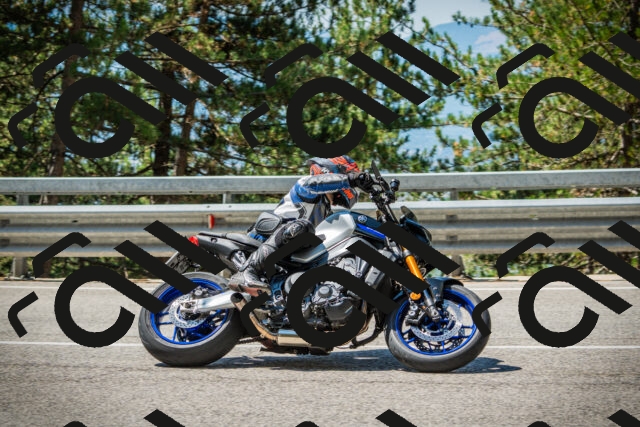 202508091130-DSC03902_c1_