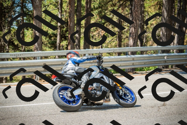 202508091130-DSC03903_c1_