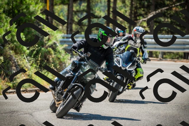 202508091130-DSC03906_c1_