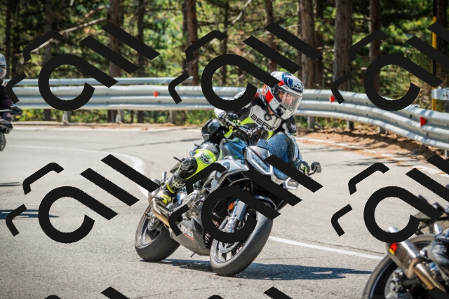 202508091130-DSC03907_c1_