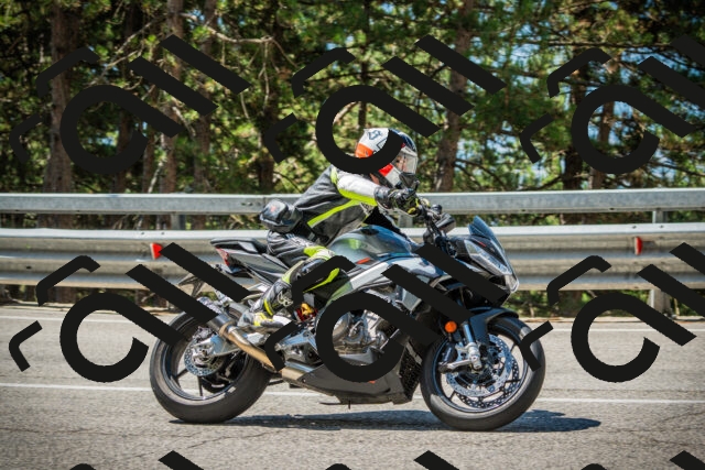 202508091130-DSC03908_c1_